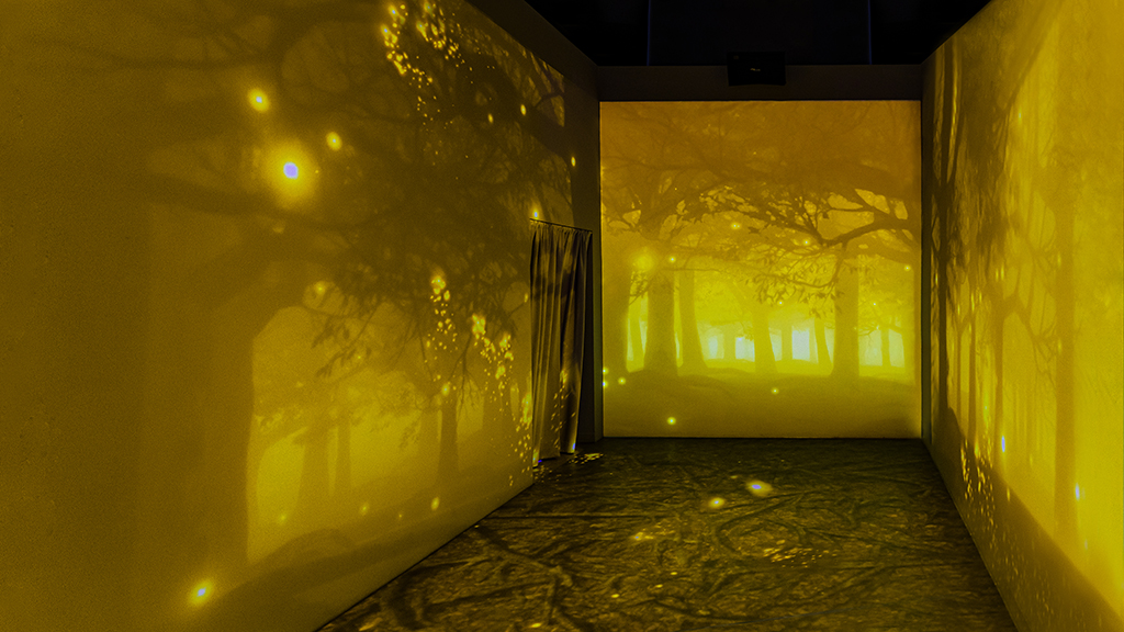 >Immersive Media Art
